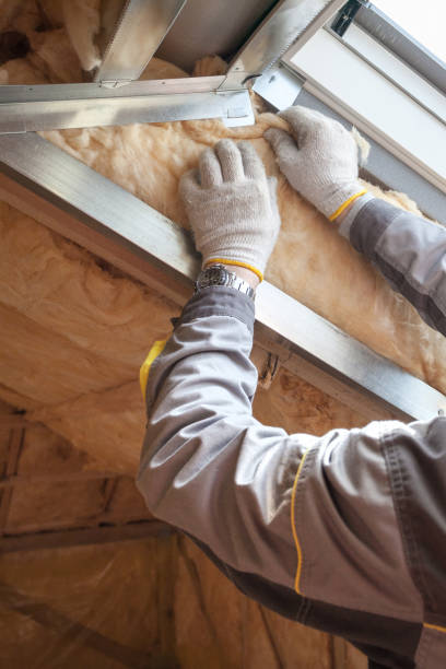 Best Insulation Installation Services in Baltic, SD